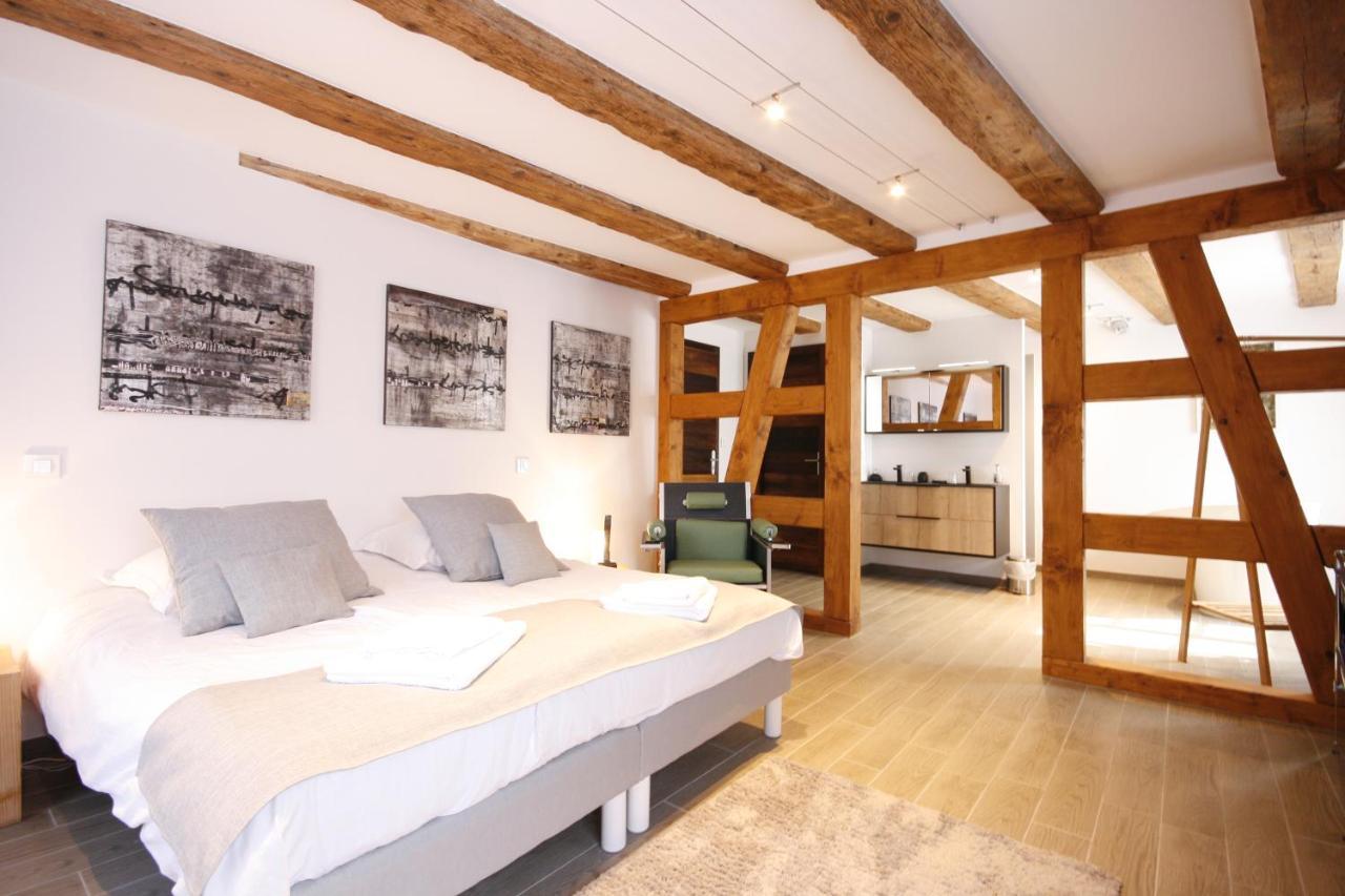App'Art - Le T Avec Sauna Kaysersberg-Vignoble Exterior photo